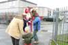 sh105958_small.jpg